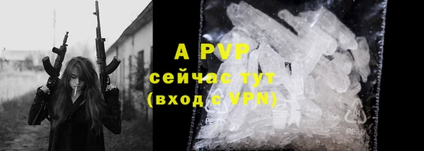 PSILOCYBIN Лихославль