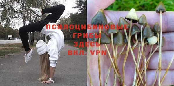 крисы Лабытнанги