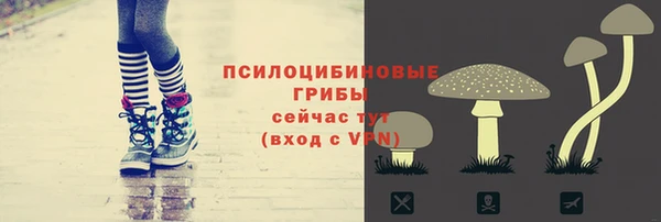 кокс Липки