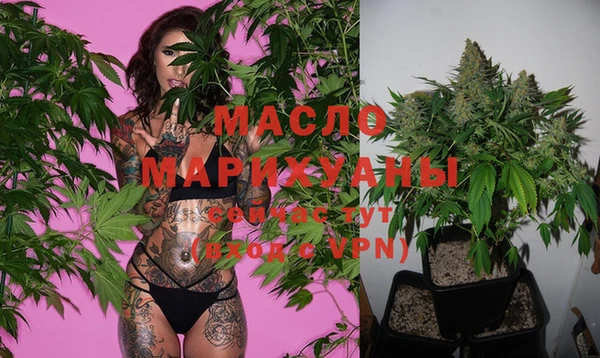 спиды Магас