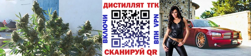 Дистиллят ТГК Wax  как найти закладки  Сосновоборск 