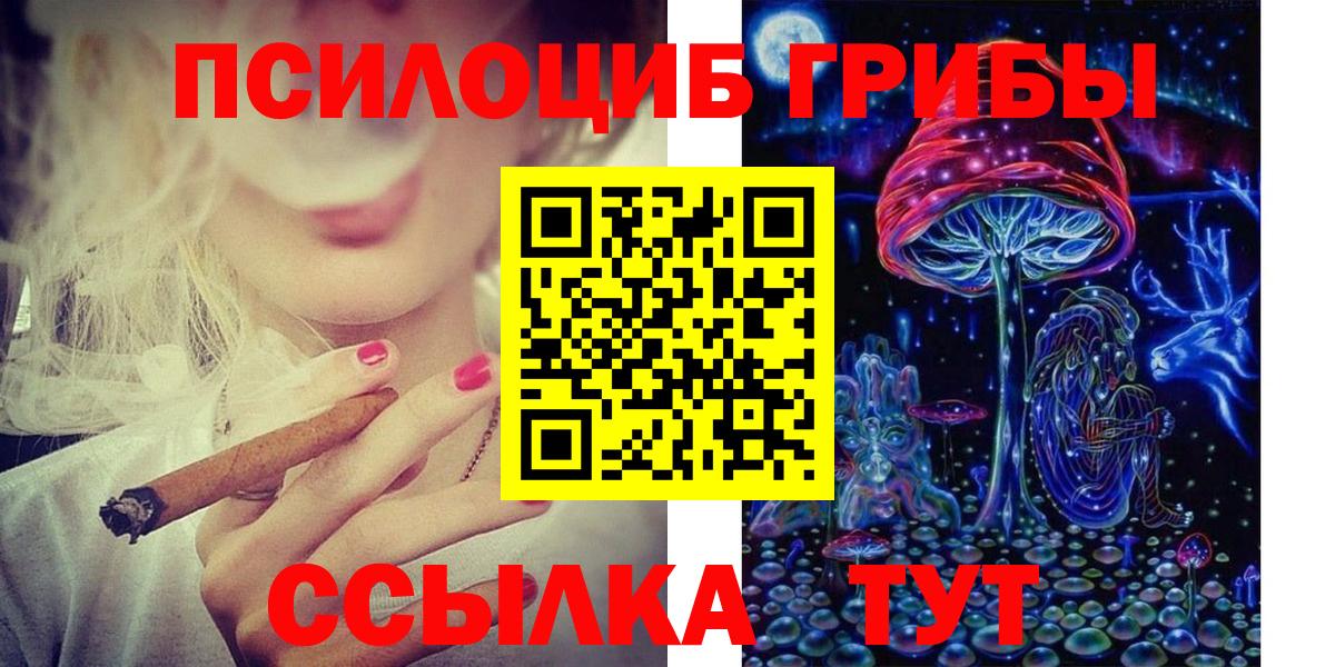 Сосновоборск  Псилоцибиновые грибы Psilocybe  Вход с VPN 
