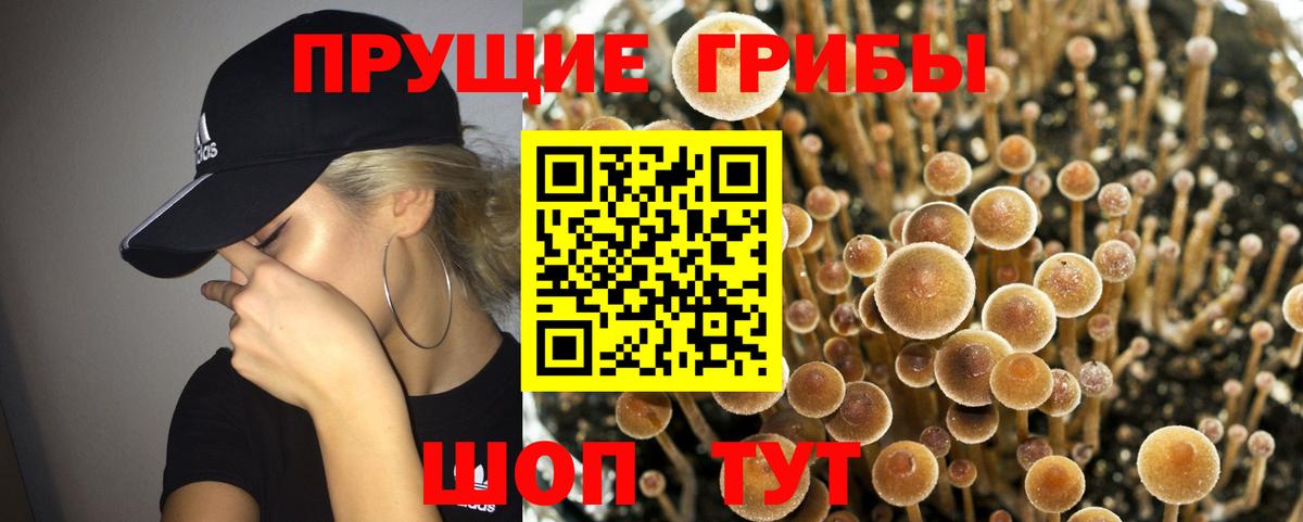  КОКАИН Сосновоборск