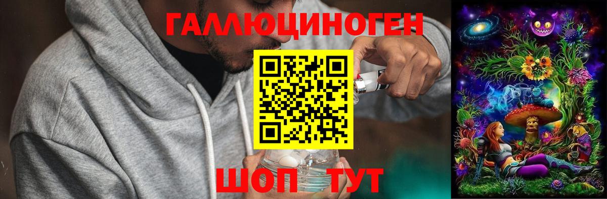 Псилоцибиновые грибы Psilocybine cubensis Сосновоборск